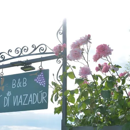 Ca Di Viazadur