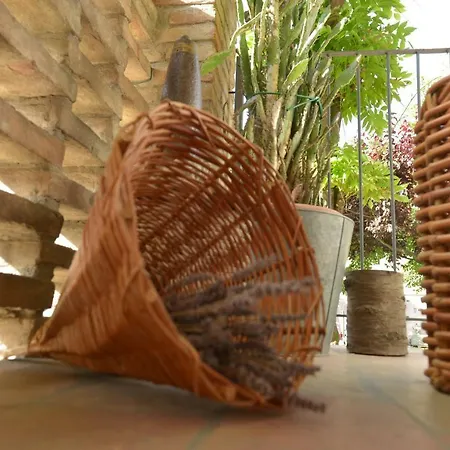 Couette-café Ca Di Viazadur *