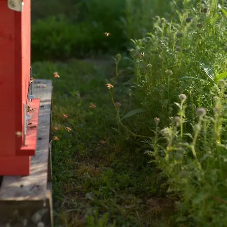 Couette-café Ca Di Viazadur