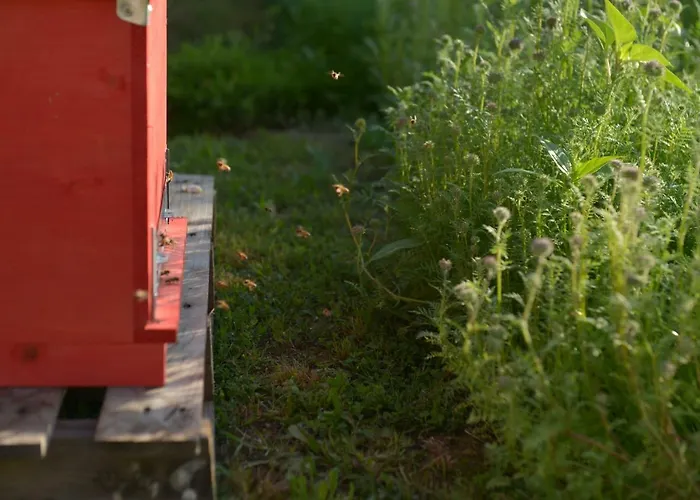 فندق مبيت وإفطار Ca Di Viazadur