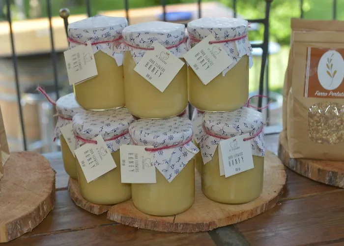 Ca Di Viazadur فينْتْسا